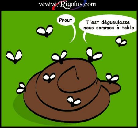 mouche