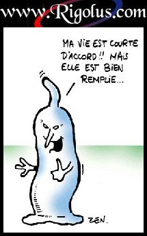 preservatif